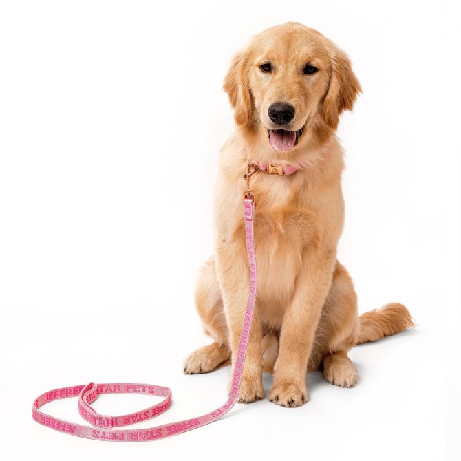 Woven Pink Leash - Image 2