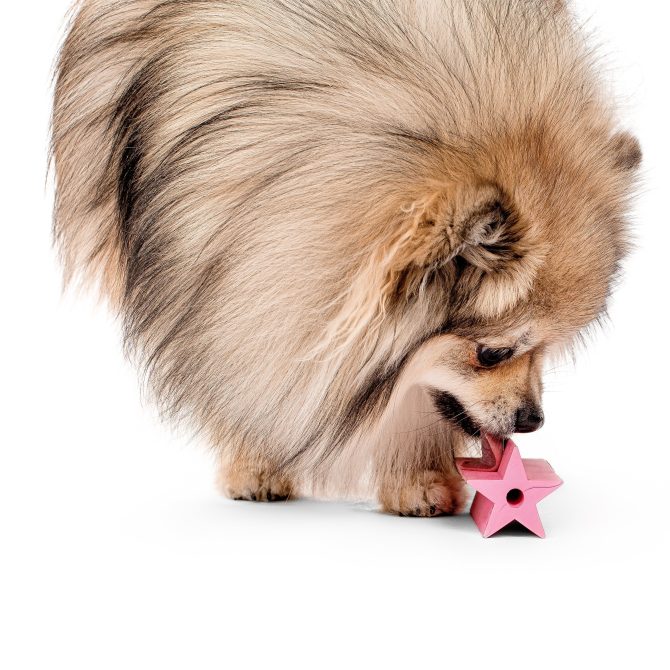 Rubber Star Toy - Image 2